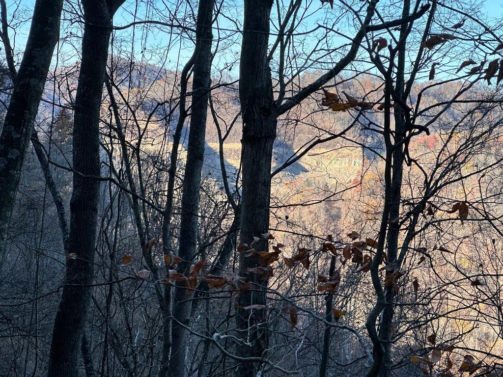 Trailintel Trail Photo