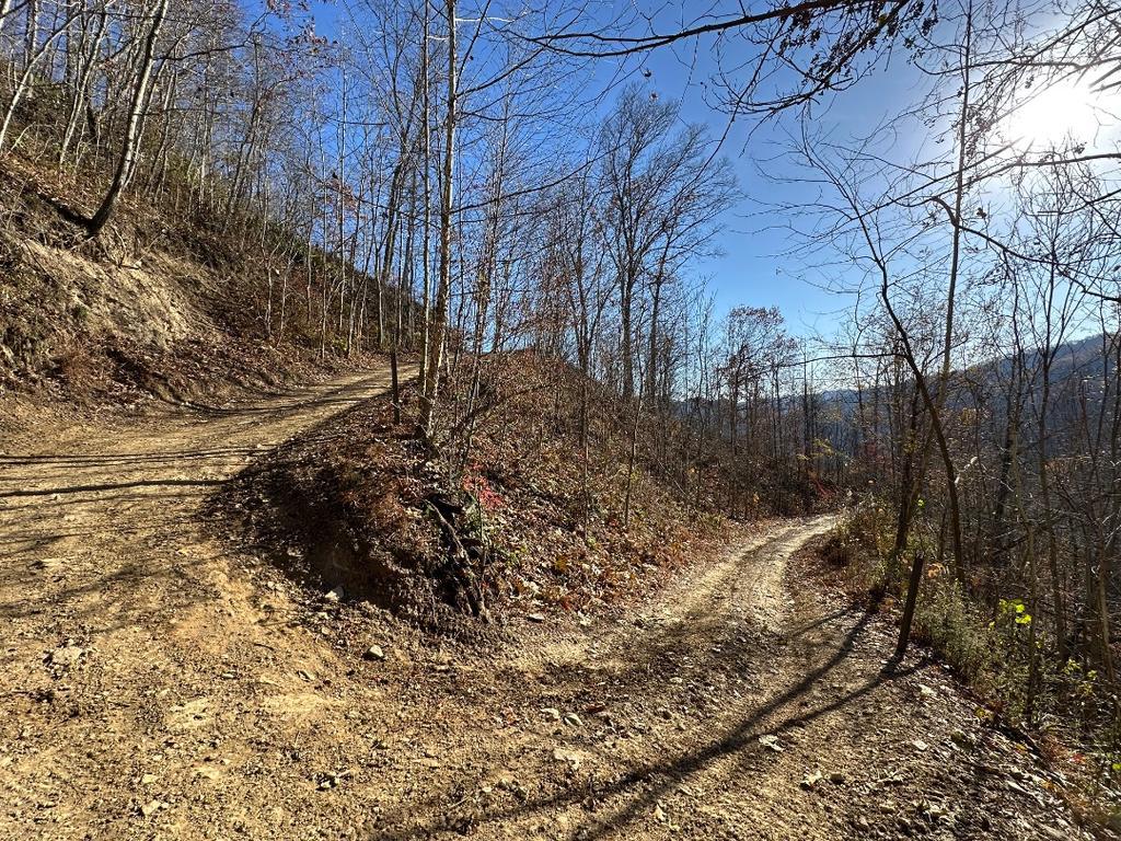 Trailintel Trail Photo