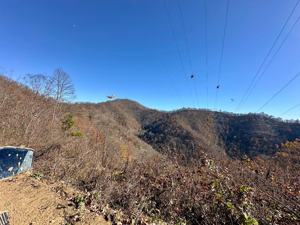 Trailintel Trail Photo