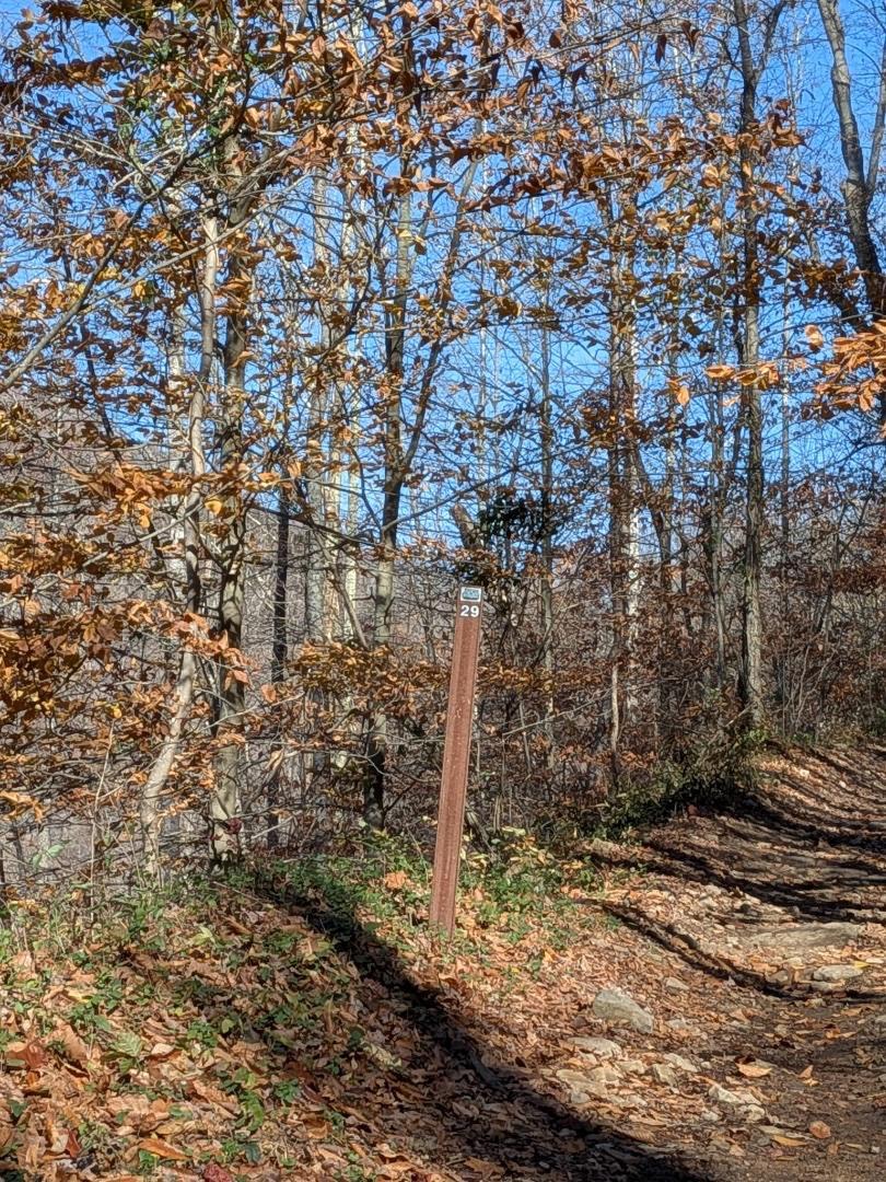 Trailintel Trail Photo