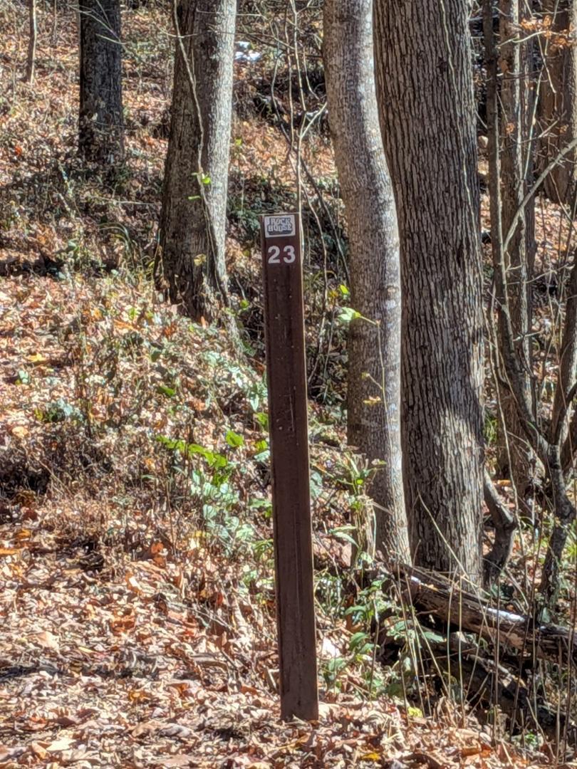 Trailintel Trail Photo