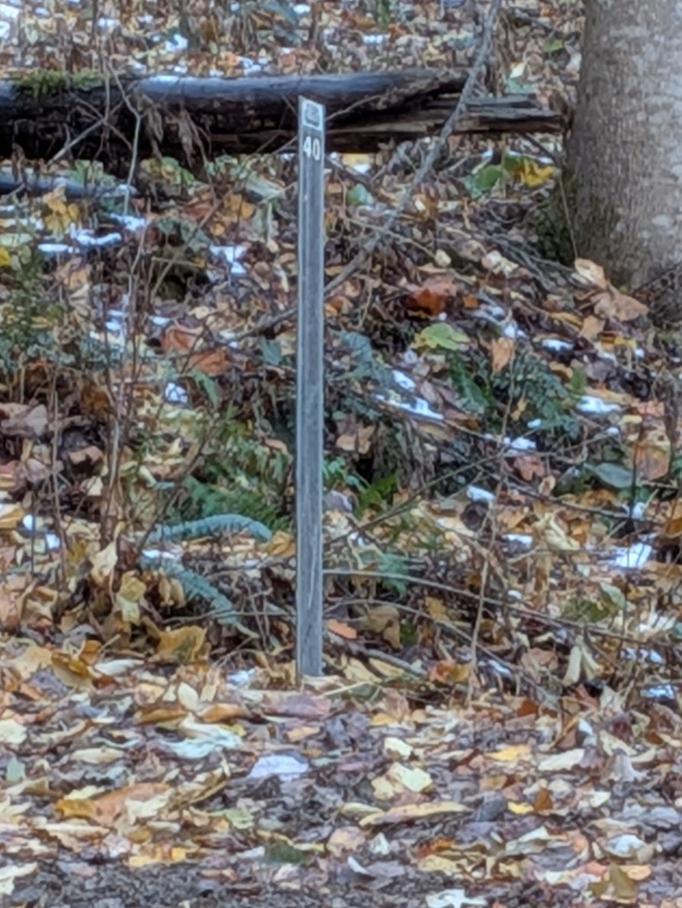 Trailintel Trail Photo