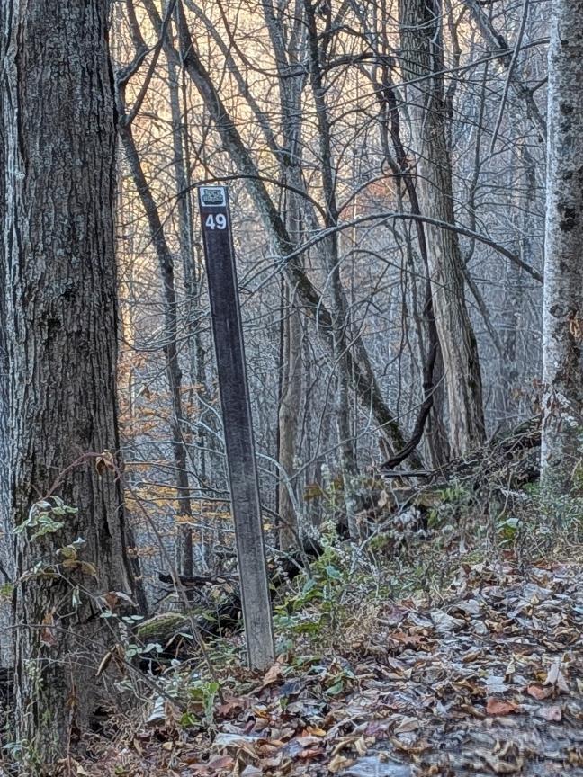 Trailintel Trail Photo