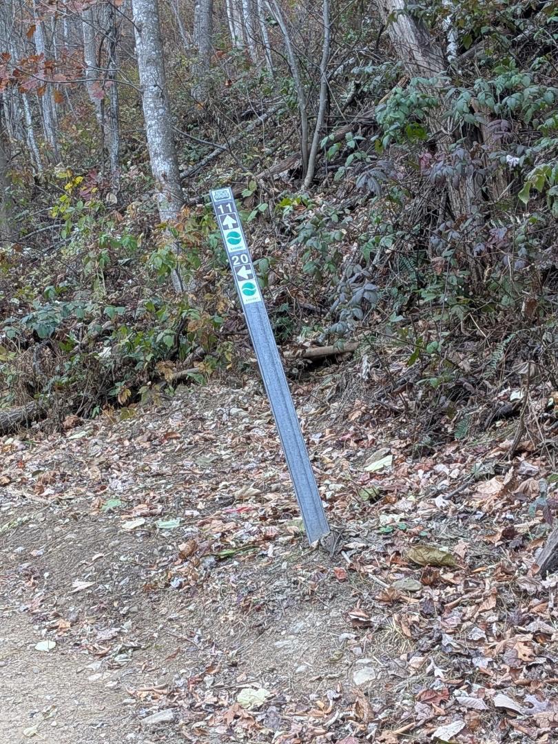 Trailintel Trail Photo