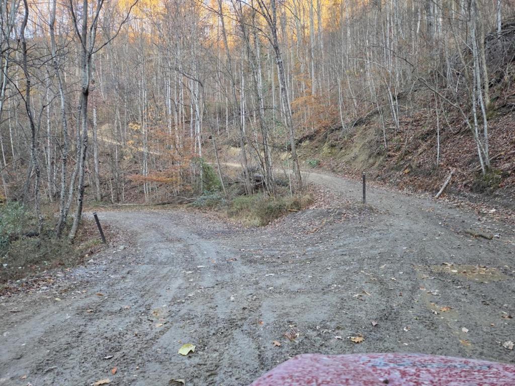 Trailintel Trail Photo