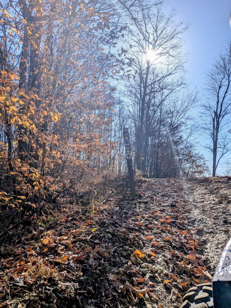 Trailintel Trail Photo