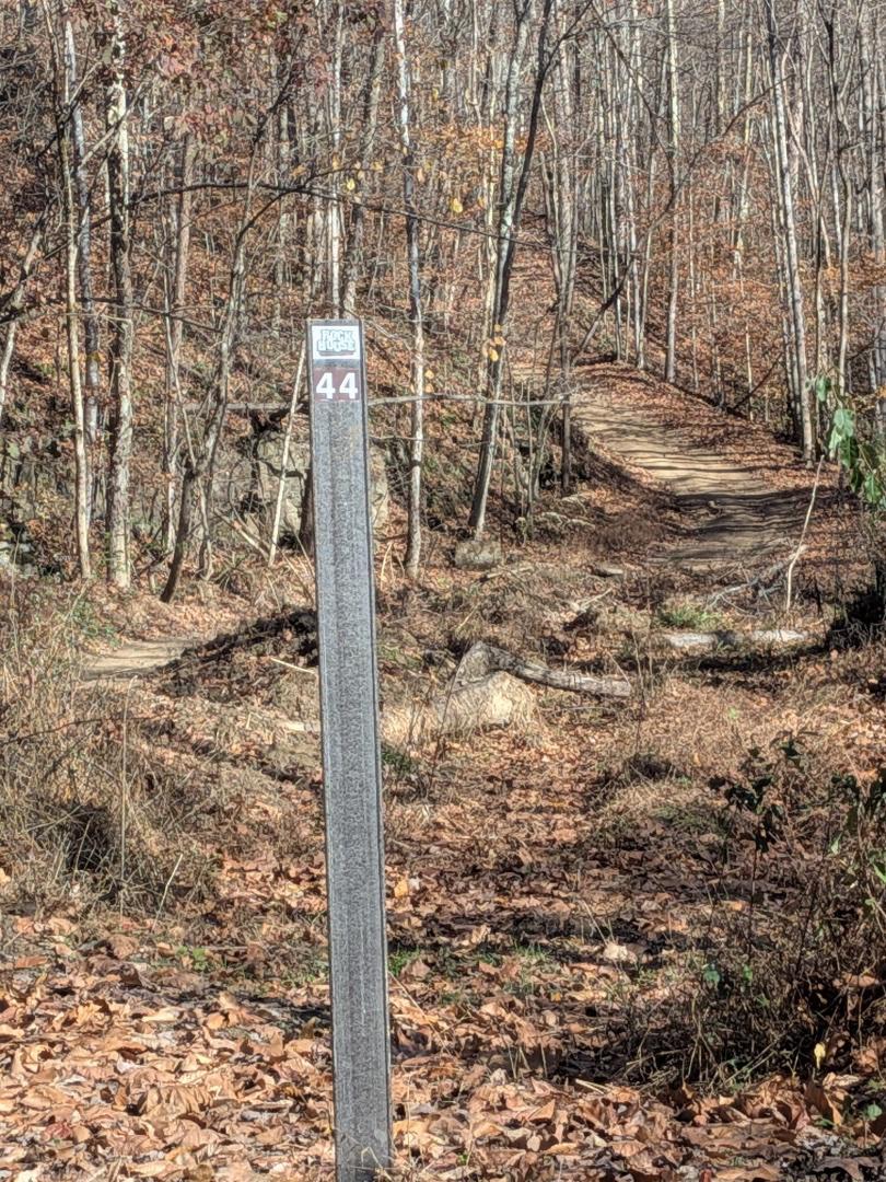 Trailintel Trail Photo