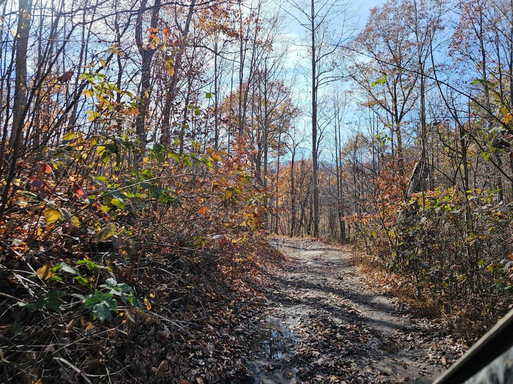 Trailintel Trail Photo