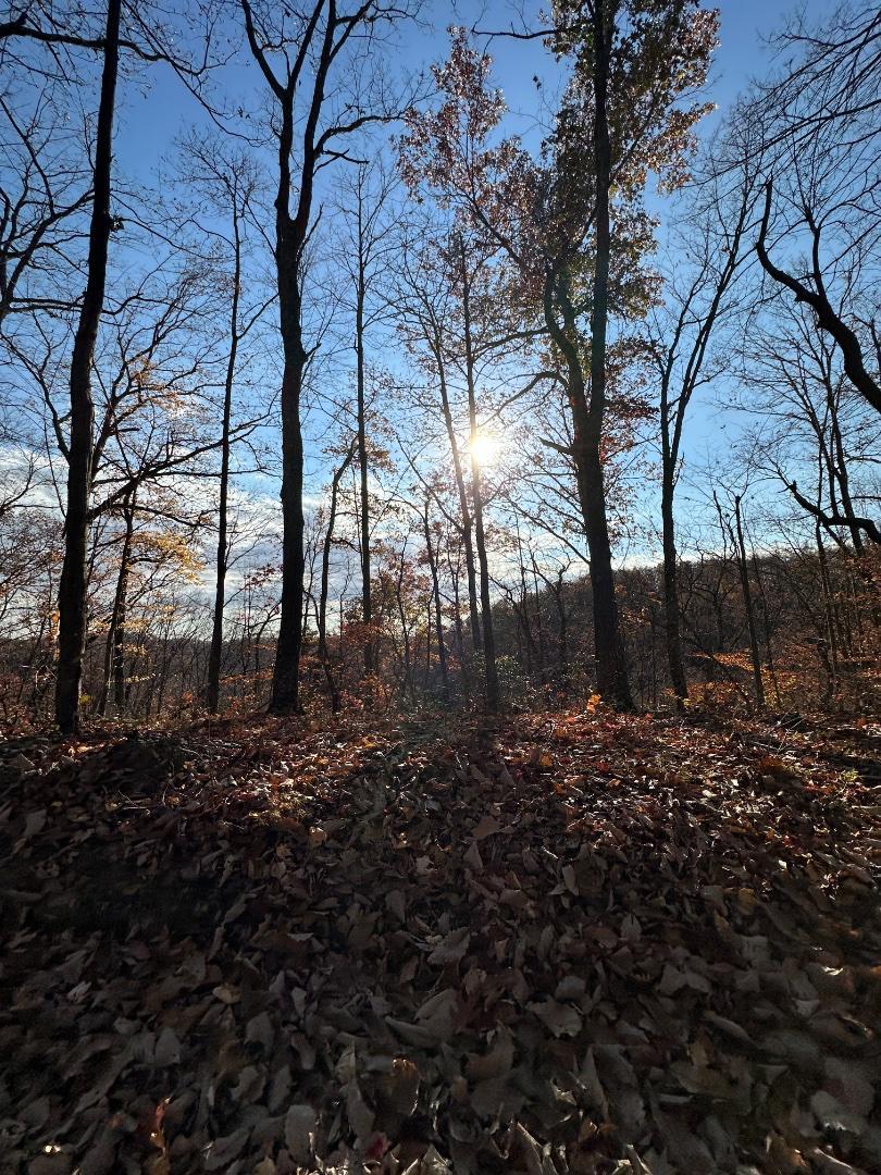 Trailintel Trail Photo