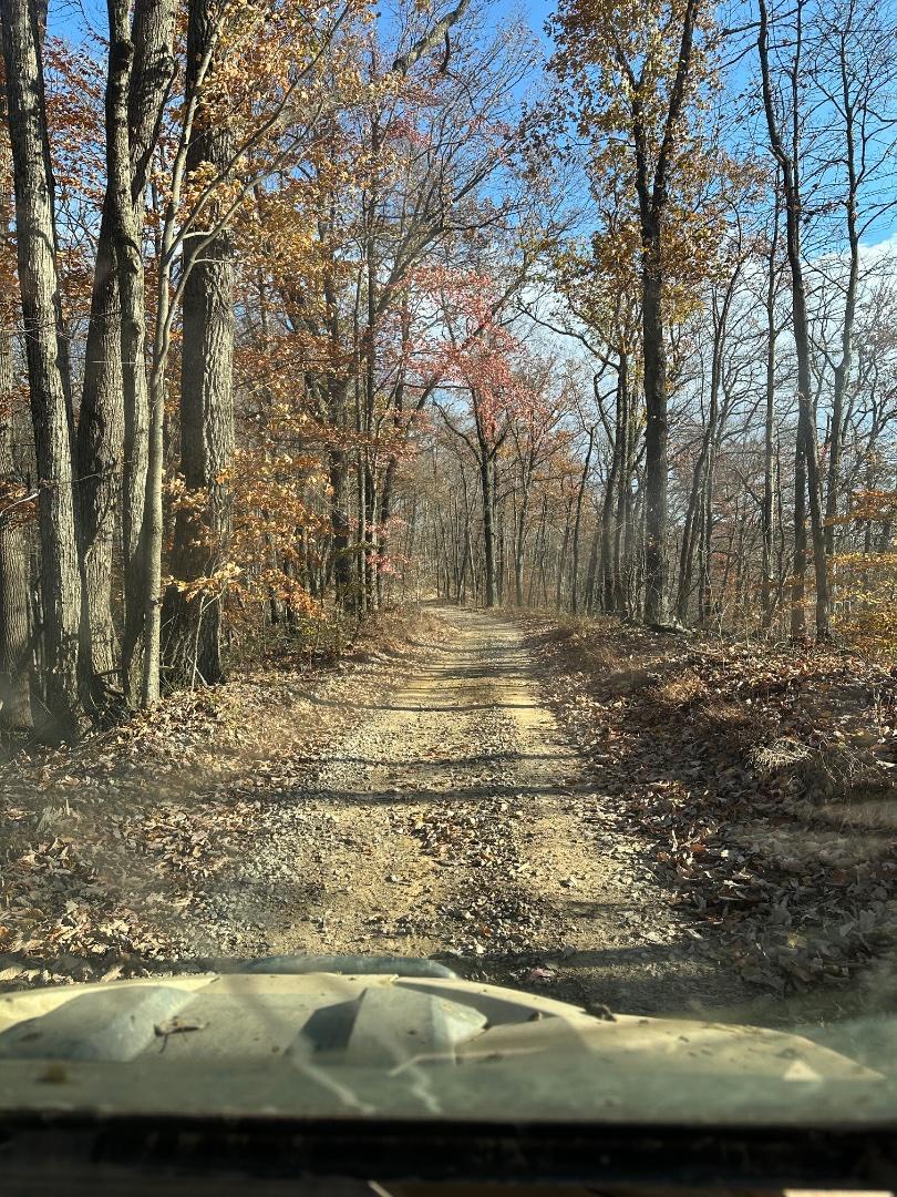 Trailintel Trail Photo