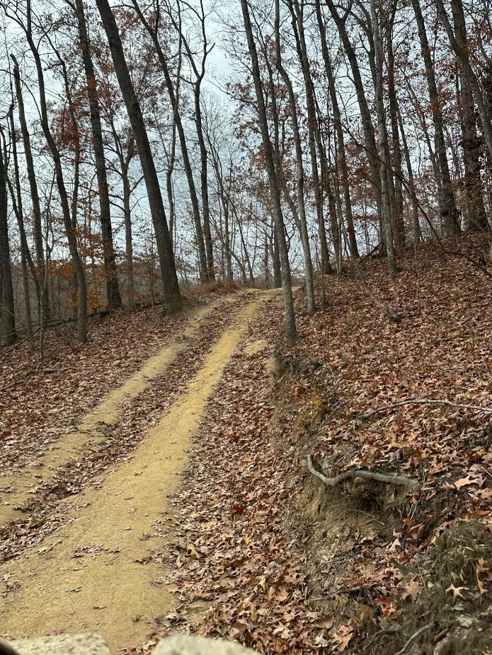 Trailintel Trail Photo