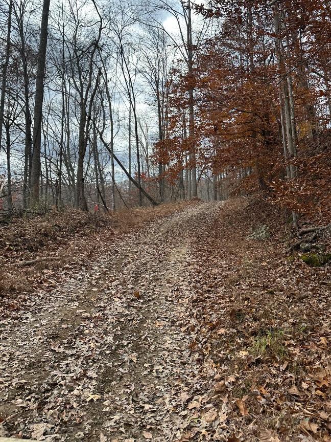 Trailintel Trail Photo