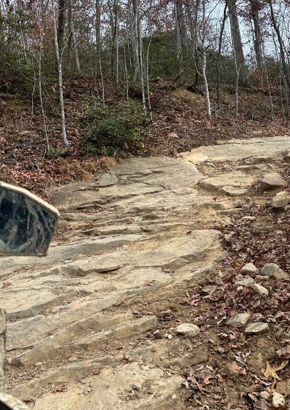 Trailintel Trail Photo