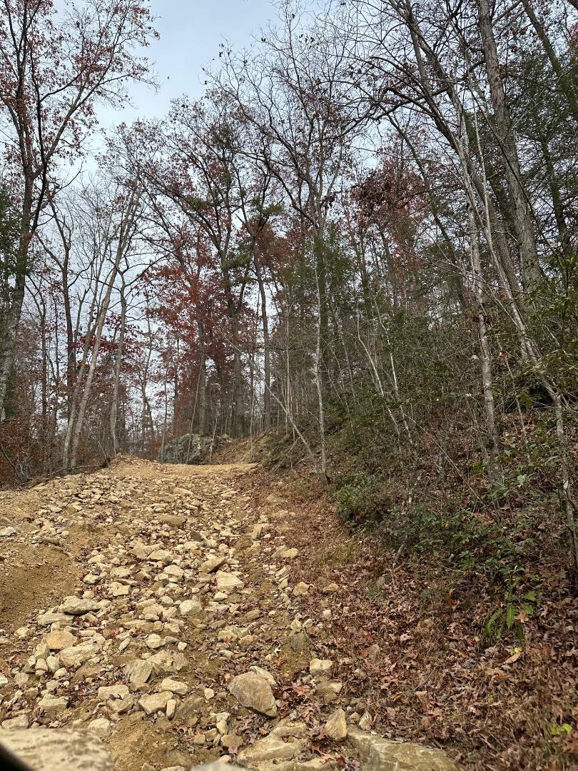 Trailintel Trail Photo