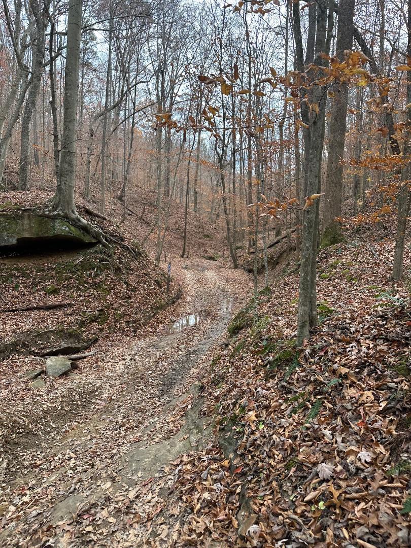 Trailintel Trail Photo