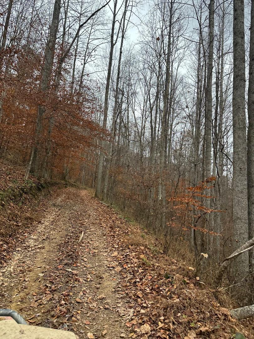 Trailintel Trail Photo