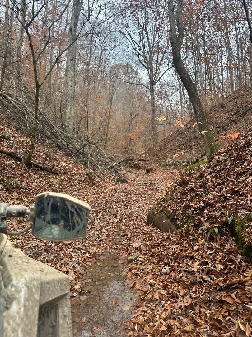 Trailintel Trail Photo