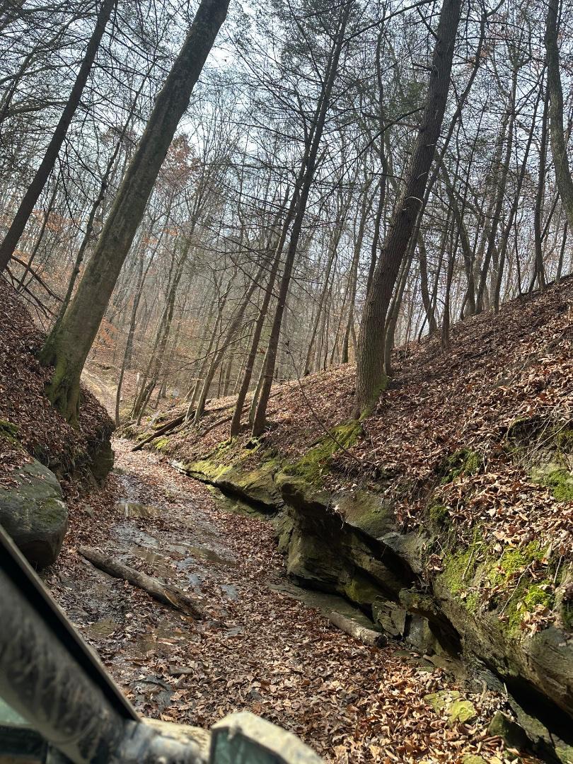 Trailintel Trail Photo