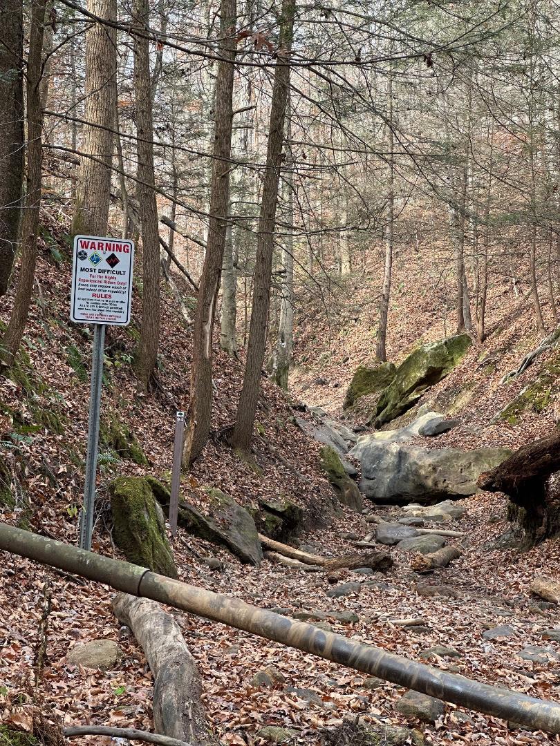 Trailintel Trail Photo