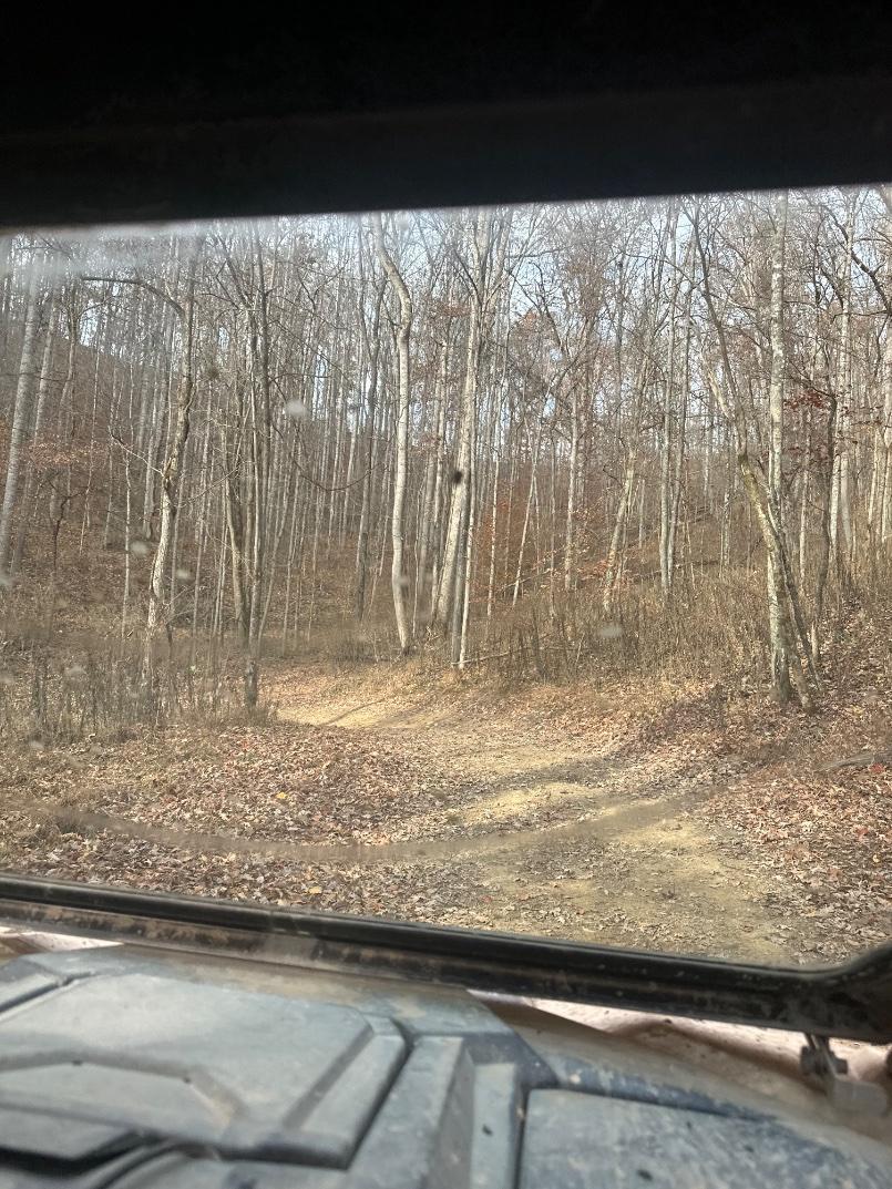 Trailintel Trail Photo