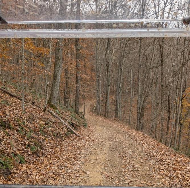 Trailintel Trail Photo