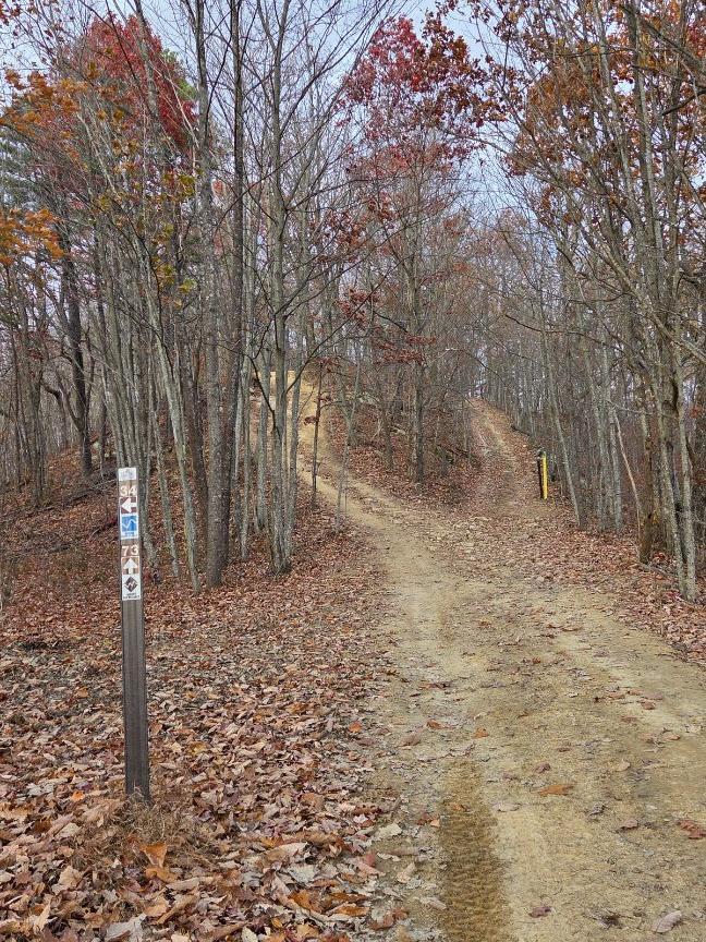 S.Rubenstein183@Gmail.Com Trail Photo