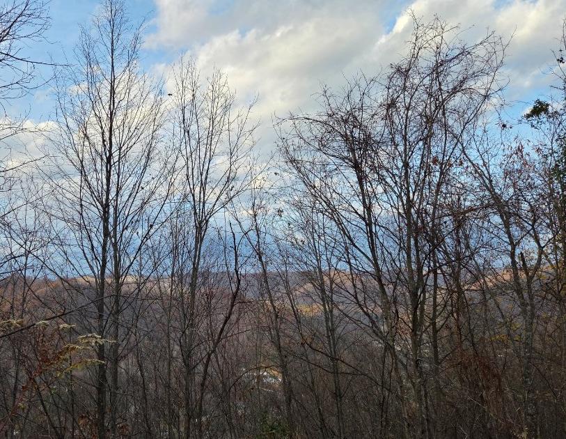 S.Rubenstein183@Gmail.Com Trail Photo