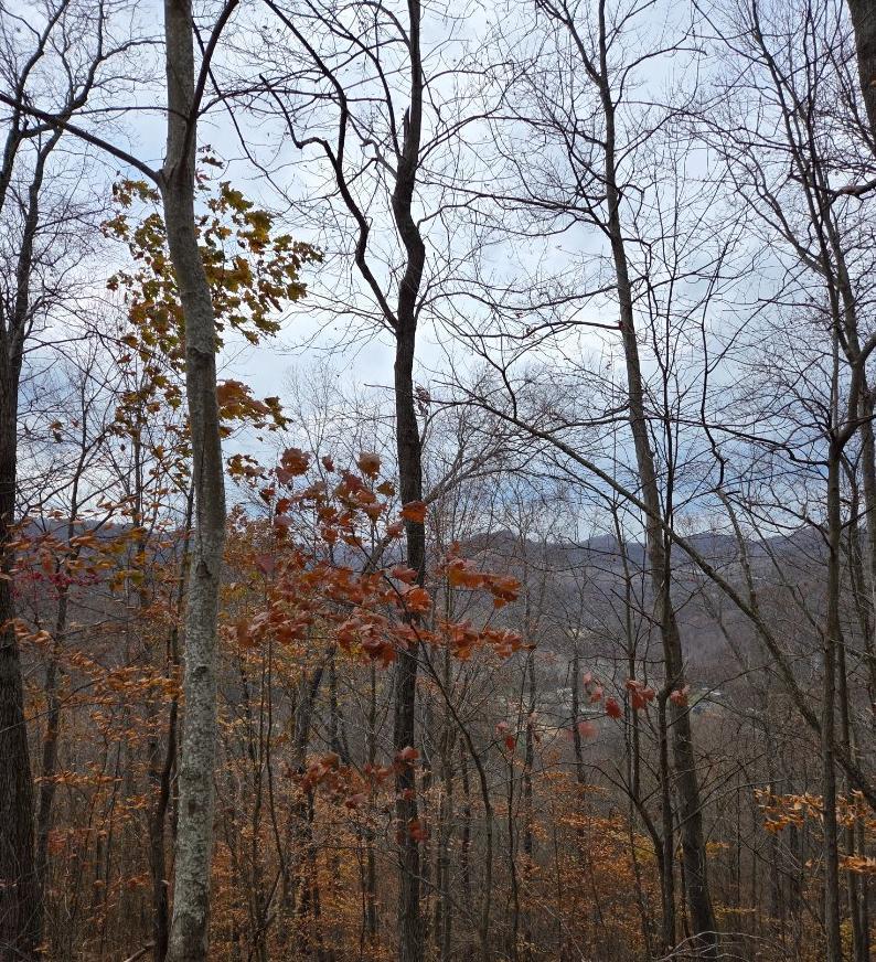 S.Rubenstein183@Gmail.Com Trail Photo