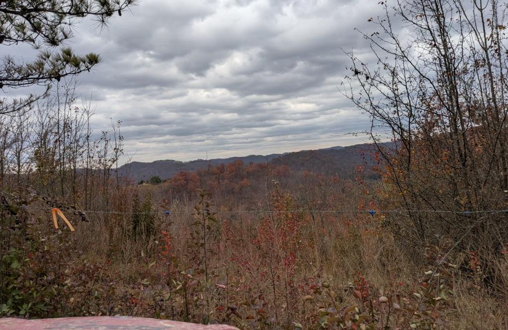 Trailintel Trail Photo