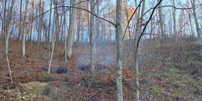 S.Rubenstein183@Gmail.Com Trail Photo