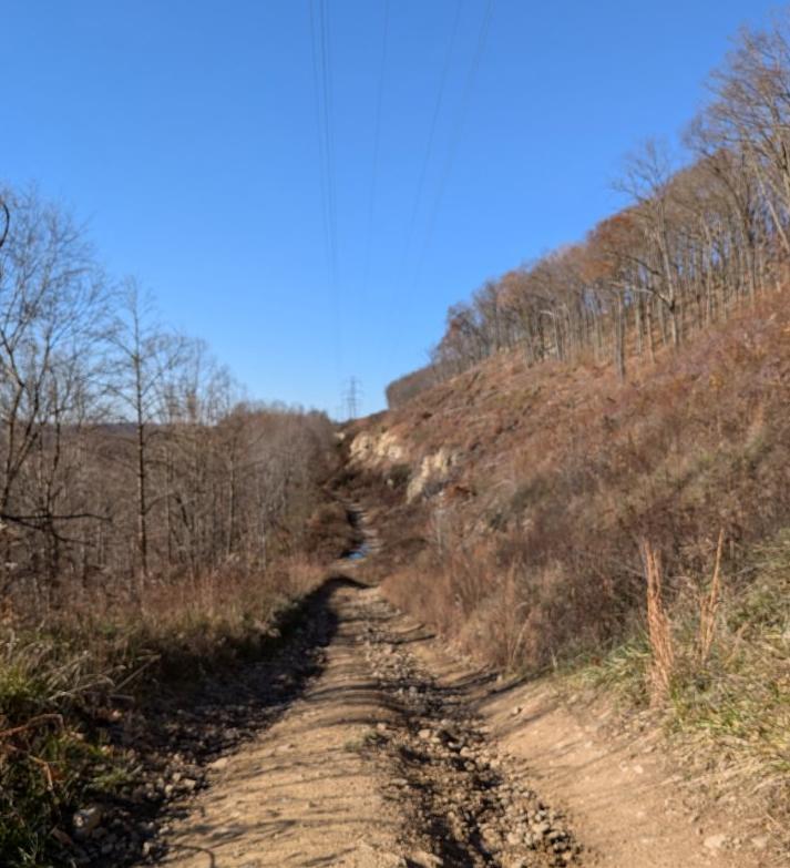 Trailintel Trail Photo