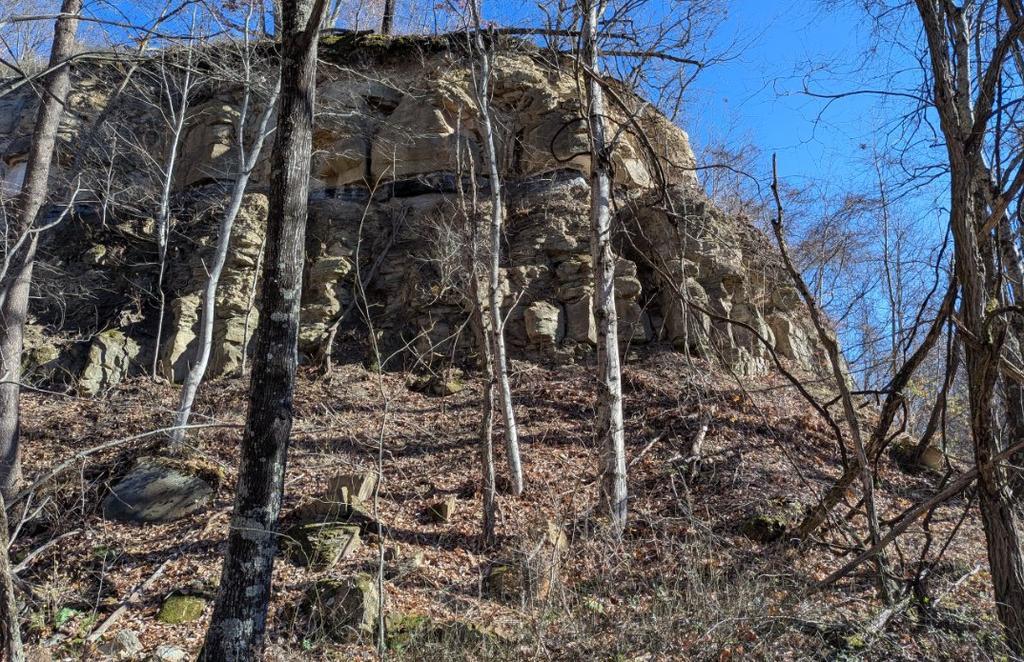 Trailintel Trail Photo