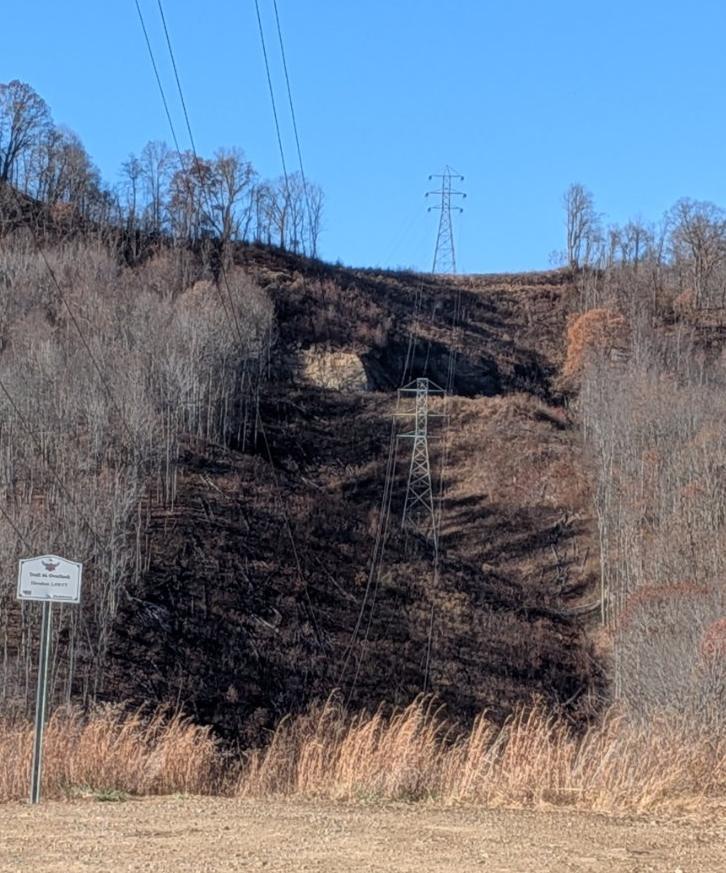 Trailintel Trail Photo