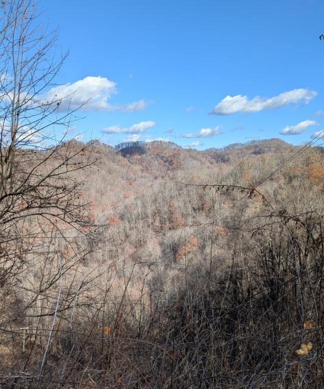 Trailintel Trail Photo