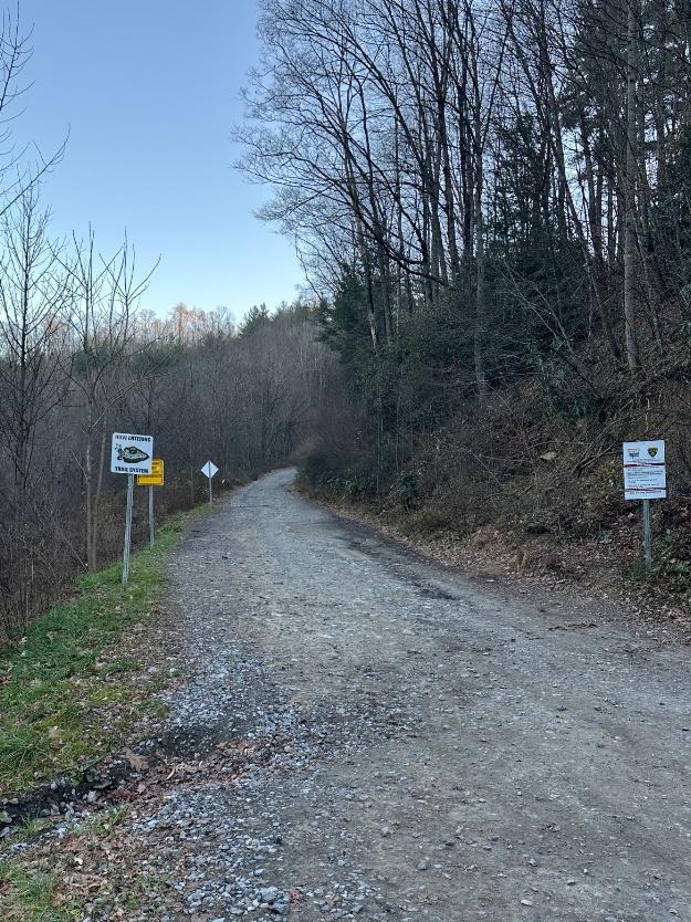 Trailintel Trail Photo