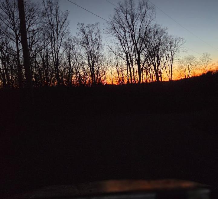 s.rubenstein183@gmail.com Trail Photo