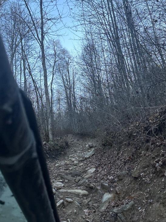 Trailintel Trail Photo