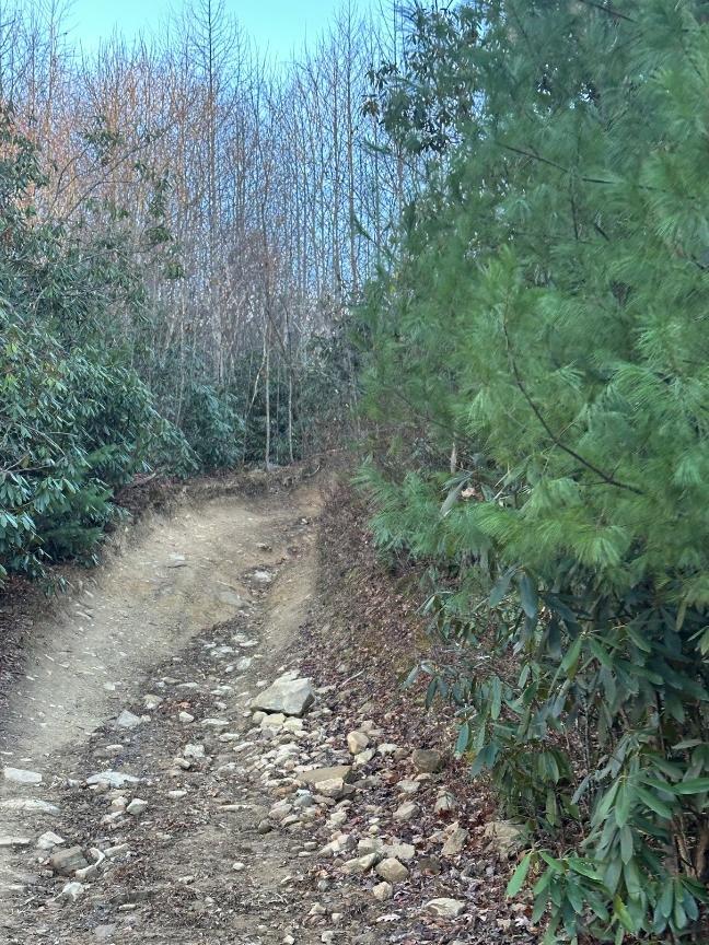 Trailintel Trail Photo