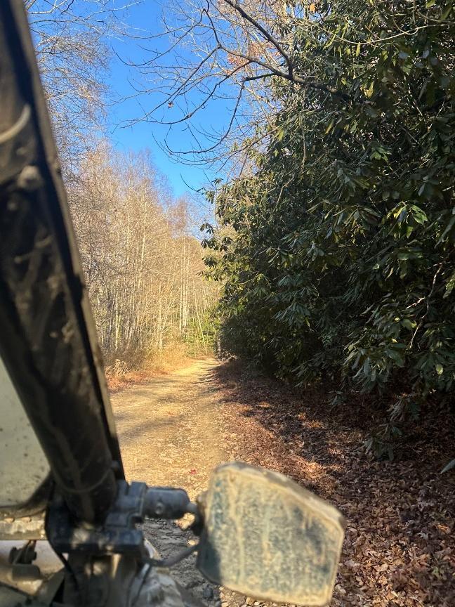 Trailintel Trail Photo