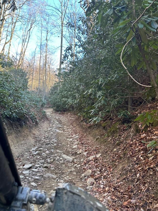 Trailintel Trail Photo