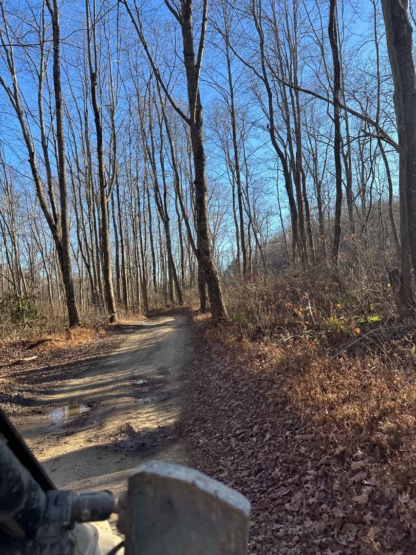 Trailintel Trail Photo