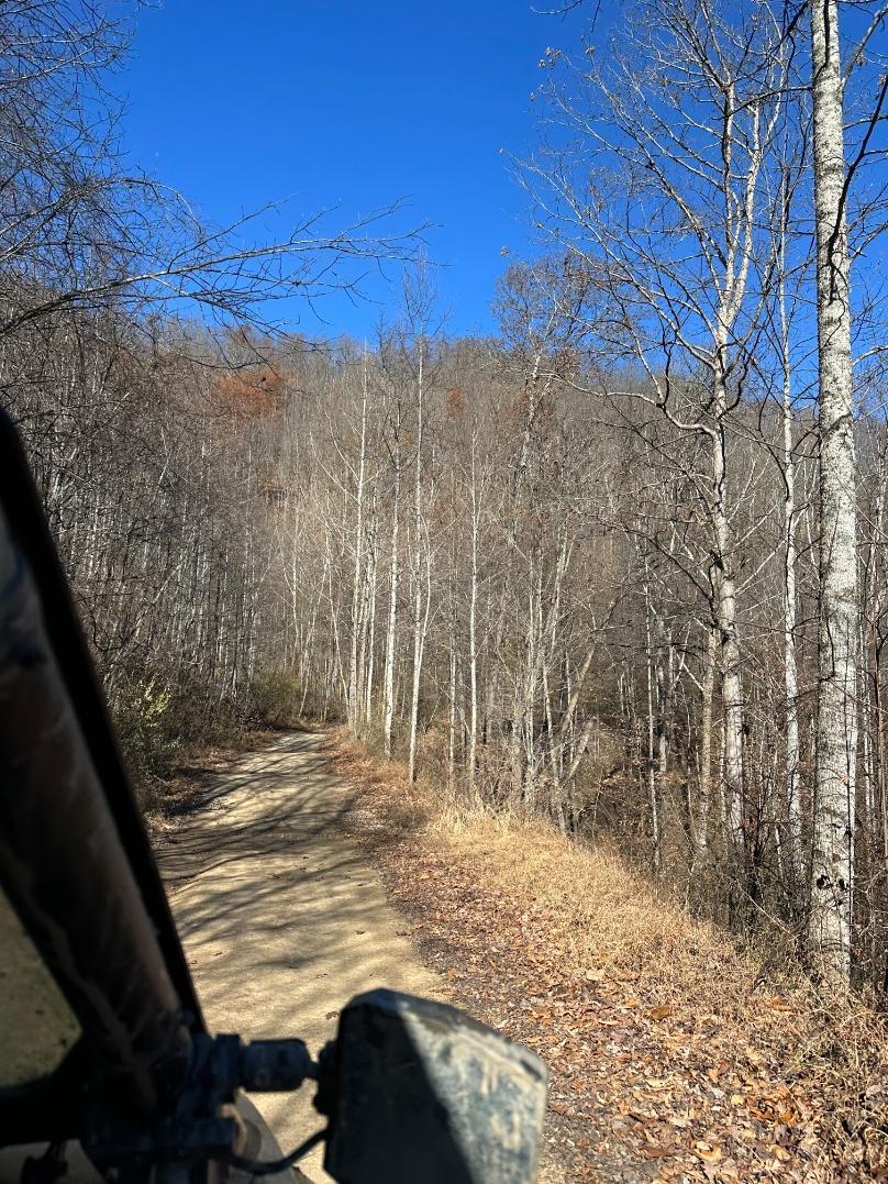 Trailintel Trail Photo