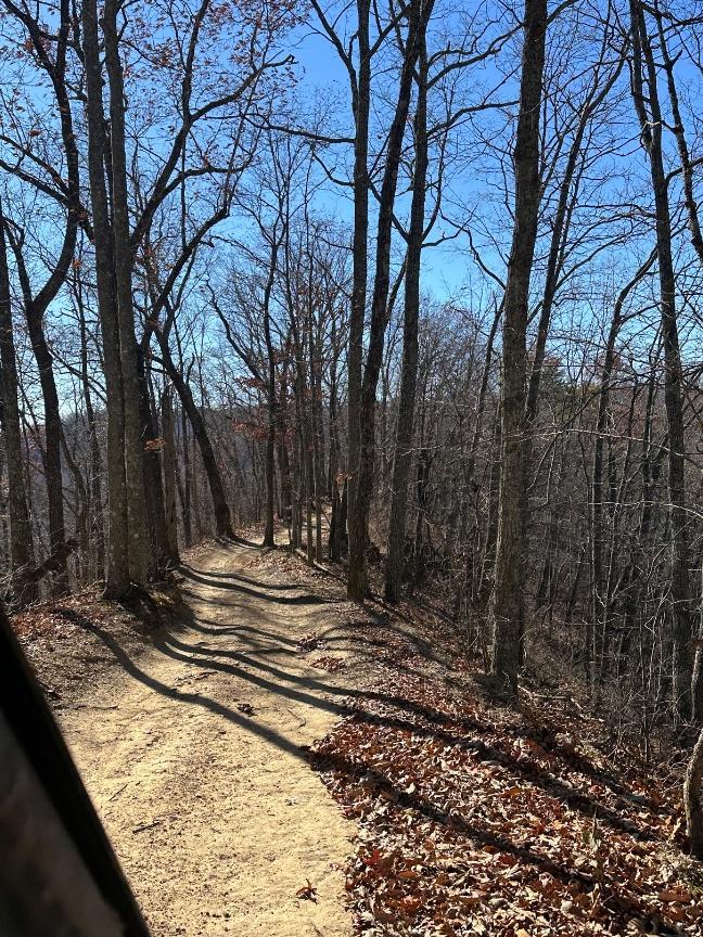 Trailintel Trail Photo