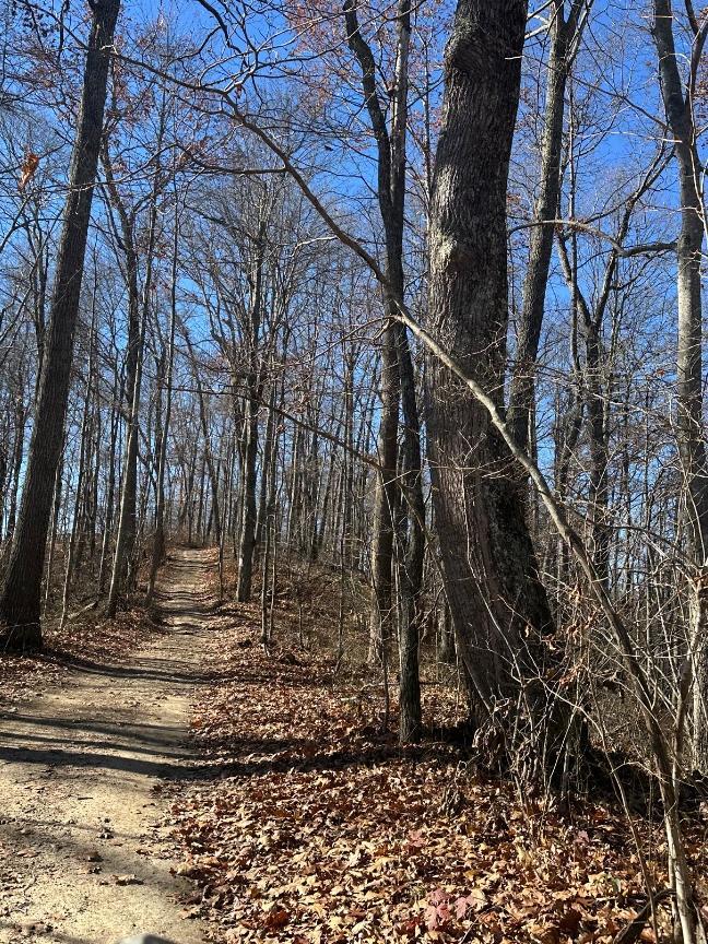 Trailintel Trail Photo