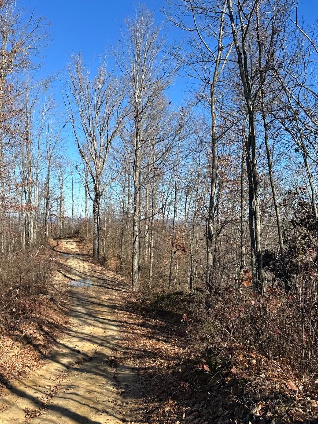 Trailintel Trail Photo