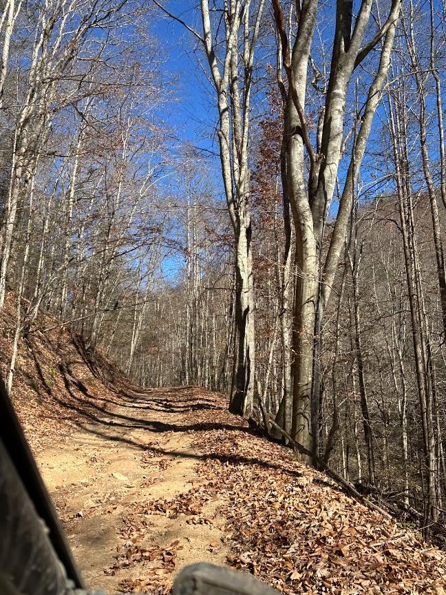 Trailintel Trail Photo