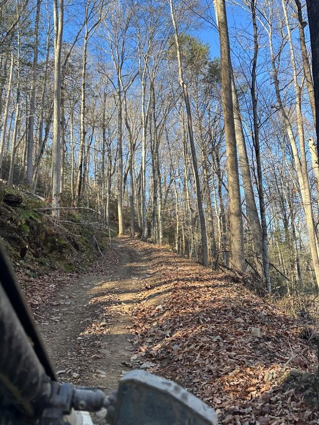 Trailintel Trail Photo