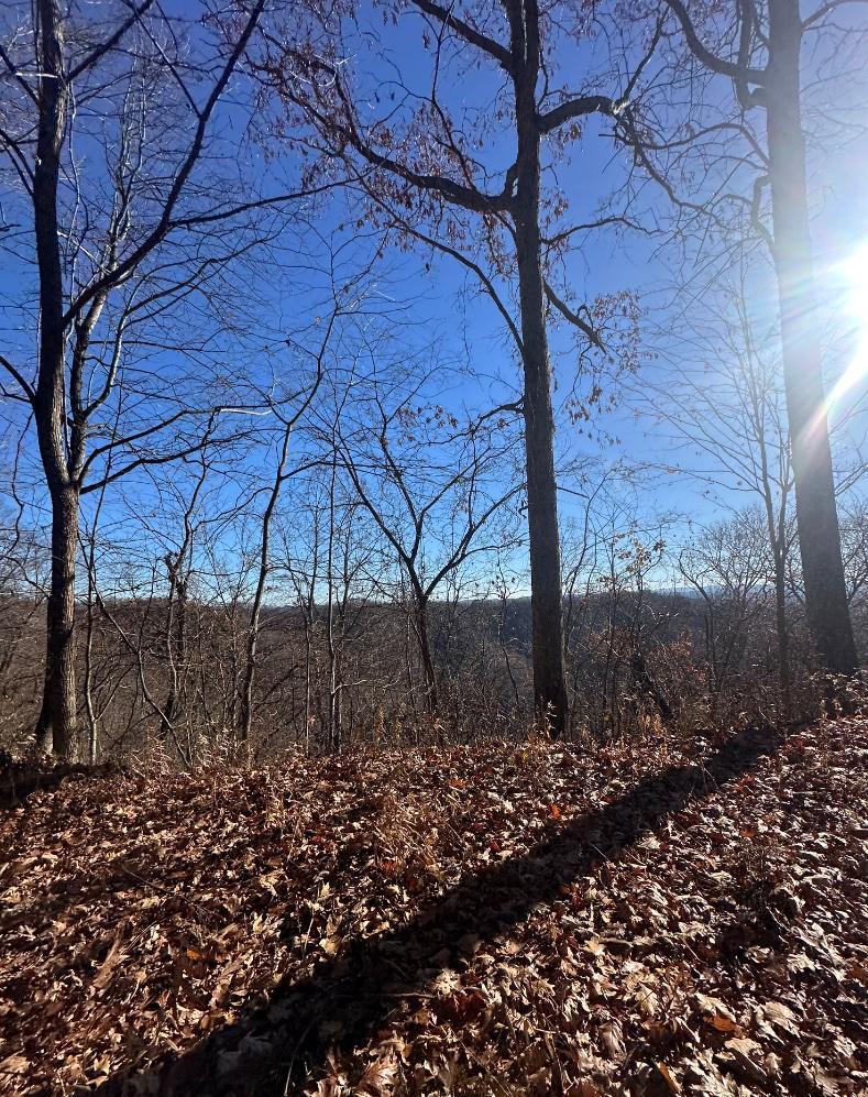 Trailintel Trail Photo