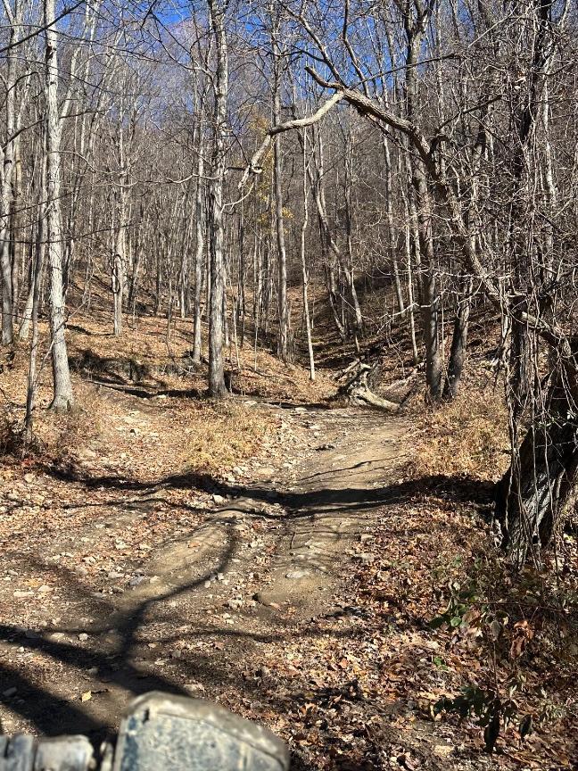 Trailintel Trail Photo