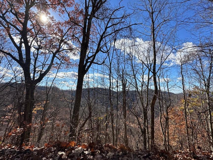 Trailintel Trail Photo